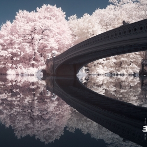 Noble Liam - Long Game in the group CD / Jazz at Bengans Skivbutik AB (3603586)