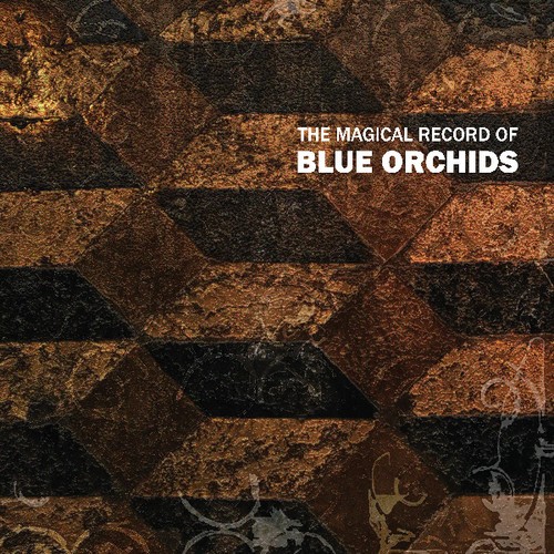 Blue Orchids - Magical Record Of Blue Orchids in the group VINYL / Rock at Bengans Skivbutik AB (3629353)