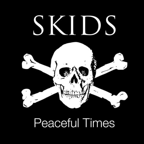 Skids - Peaceful Times in the group VINYL / Rock at Bengans Skivbutik AB (3636462)