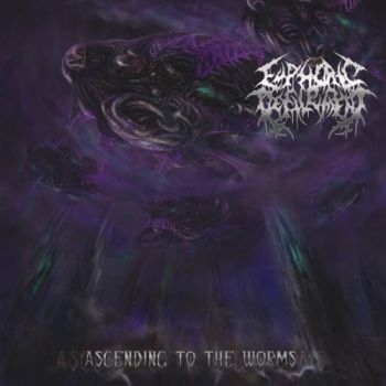 Euphoric Defilement - Ascending To The Worms in the group CD / Bestsellers at Bengans Skivbutik AB (3636569)