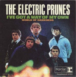 Electric Prunes - I've Got A Way Of My Own in the group VINYL / Rock at Bengans Skivbutik AB (3637406)