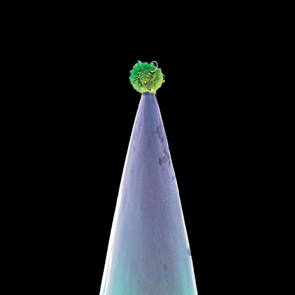 Peter Gabriel - New Blood in the group Minishops / Peter Gabriel at Bengans Skivbutik AB (3639630)