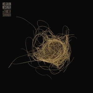 Hiss Golden Messenger - Terms Of Surrender in the group OUR PICKS / Album Of The Year 2019 / Årsbästa 2019 Mojo at Bengans Skivbutik AB (3642856)