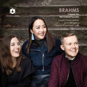 Brahms Johannes - Clarinet Trio & Clarinet Sonatas in the group Externt_Lager /  at Bengans Skivbutik AB (3645226)