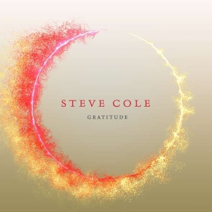 Cole Steve - Gratitude in the group OTHER / Övrigt / at Bengans Skivbutik AB (3645238)