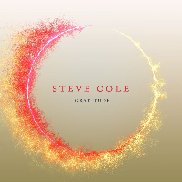 Cole Steve - Gratitude in the group OTHER / Övrigt / at Bengans Skivbutik AB (3645238)
