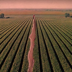 Possible Humans - Everybody Split in the group CD / Rock at Bengans Skivbutik AB (3653827)