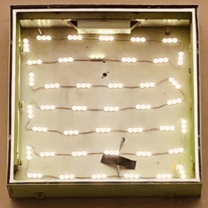 Oso Oso - Basking In The Glow in the group CD / Pop-Rock at Bengans Skivbutik AB (3654019)