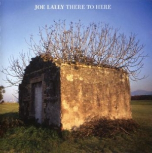 Lally Joe - There To Here in the group CD / Pop-Rock at Bengans Skivbutik AB (3656394)