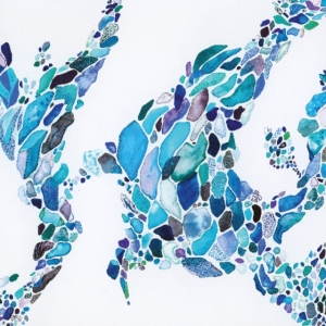 Quarion - Shades in the group OTHER / Övrigt /  at Bengans Skivbutik AB (3656575)