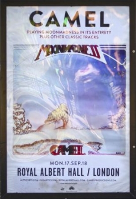 Camel - At The Royal Albert Hall 2018 in the group OTHER / Music-DVD & Bluray at Bengans Skivbutik AB (3657599)