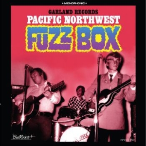Garland Records - Pacific Northwest Fuzz Box in the group CD / Rock at Bengans Skivbutik AB (3659020)
