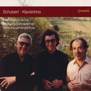 Schubert Franz - Piano Trios in the group Externt_Lager /  at Bengans Skivbutik AB (3665994)