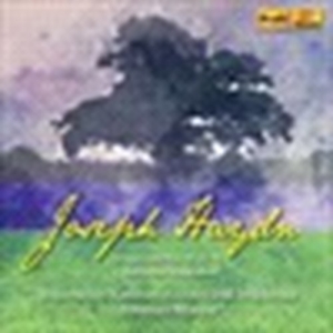 Haydn Joseph - Wallerstein Symphonies in the group CD at Bengans Skivbutik AB (3666009)