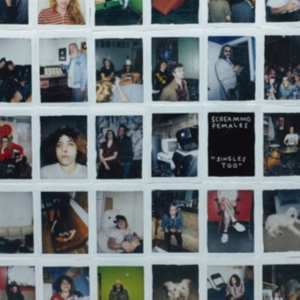 Screaming Females - Singles Too in the group OTHER / Övrigt / at Bengans Skivbutik AB (3670174)