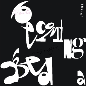 Trevor - Becoming A Bed in the group OTHER / Övrigt /  at Bengans Skivbutik AB (3674913)