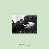 Steve Hiett - Girls In The Grass in the group OUR PICKS / Friday Releases / Friday the 12th of april 2024 at Bengans Skivbutik AB (3674934)
