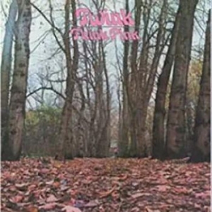 Twink - Twink Pink in the group VINYL / Pop-Rock at Bengans Skivbutik AB (3675562)