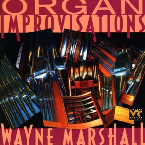 Various - Organ Improvisations in the group Externt_Lager /  at Bengans Skivbutik AB (3677484)