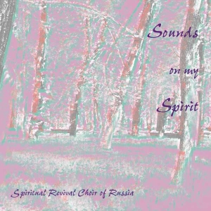 Various - Sounds On My Spirit in the group Externt_Lager /  at Bengans Skivbutik AB (3677539)