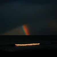 Thank Yous - Good Times Killing Us (W/Cd) in the group VINYL / Pop-Rock at Bengans Skivbutik AB (3681627)