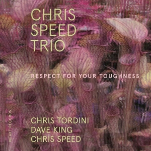 Chris Speed Trio - Respect For Your Toughness in the group Externt_Lager /  at Bengans Skivbutik AB (3681756)