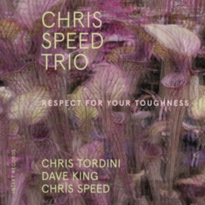 Chris Speed Trio - Respect For Your Toughness in the group Externt_Lager / at Bengans Skivbutik AB (3681756)