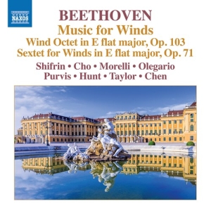 Beethoven Ludwig Van - Music For Winds in the group Externt_Lager /  at Bengans Skivbutik AB (3681816)
