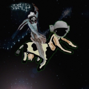 Valentine Matt - Preserves in the group OTHER / Övrigt / at Bengans Skivbutik AB (3691652)