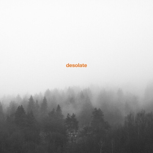 Desolate - Exceptionalism in the group OTHER / Övrigt / at Bengans Skivbutik AB (3691682)
