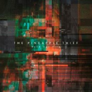 Pineapple Thief - Hold Our Fire in the group Minishops / The Pineapple Thief at Bengans Skivbutik AB (3694355)