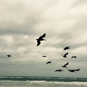 Berger Karl - In A Moment - Music For Piano And S in the group OTHER / Övrigt /  at Bengans Skivbutik AB (3694566)