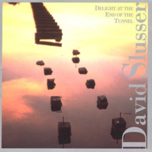 Slusser David - Delight At The End Of The Tunnel in the group CD / Jazz at Bengans Skivbutik AB (3694609)