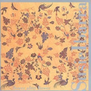 Ibarra Susie - Flower After Flower in the group CD / Pop-Rock at Bengans Skivbutik AB (3694642)