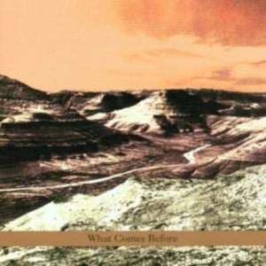 Goldberg / Schott / Sarin Trio - What Comes Before in the group CD / Jazz at Bengans Skivbutik AB (3694703)