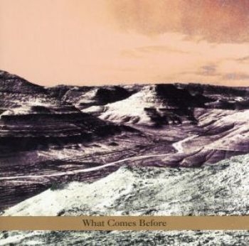 Goldberg / Schott / Sarin Trio - What Comes Before in the group CD / Bestsellers at Bengans Skivbutik AB (3694703)