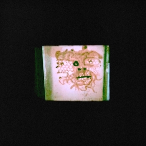 Orrick Chris & The Lasso - I Read That I Was Dead in the group OTHER / Övrigt / at Bengans Skivbutik AB (3700894)