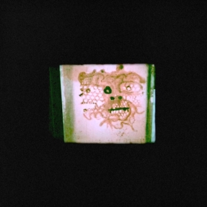 Chris Orrick & The Lasso - I Read That I Was Dead in the group OTHER / Övrigt /  at Bengans Skivbutik AB (3700895)