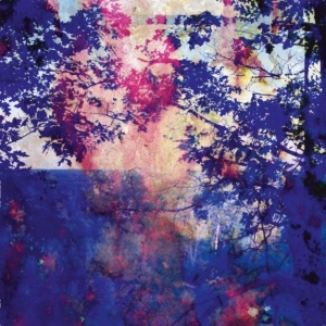 Butcher Roland - Viaje in the group OTHER / Övrigt / at Bengans Skivbutik AB (3701129)