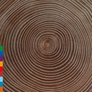 Music From The 13Th Century - Moksha in the group CD / Elektroniskt,World Music at Bengans Skivbutik AB (3701150)