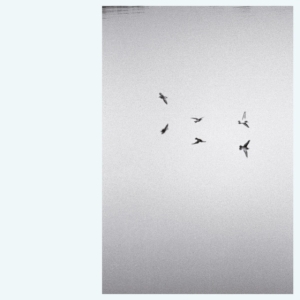 Barkley Kirk - Landscapes in the group OTHER / Övrigt /  at Bengans Skivbutik AB (3701174)