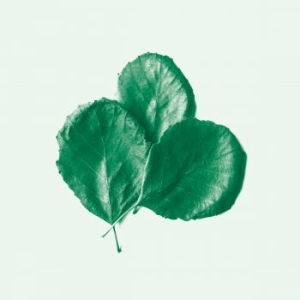 Alder Ego - Ii in the group VINYL / Jazz/Blues at Bengans Skivbutik AB (3705817)