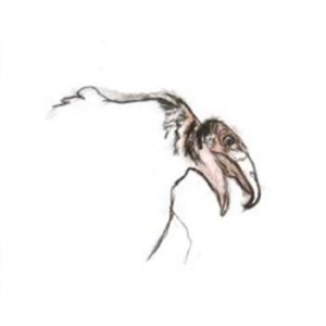 Zacharius Carls Group - Zacharius Carls Group in the group CD / Finsk Musik,Pop-Rock at Bengans Skivbutik AB (3712510)