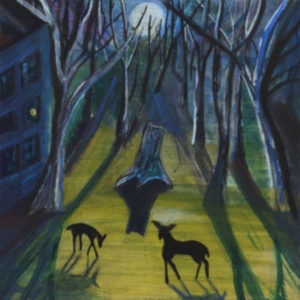 Quinn Donovan - Absalom in the group VINYL / Pop-Rock at Bengans Skivbutik AB (3716994)