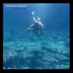 Tenderlonius - On Flute in the group VINYL / Jazz/Blues at Bengans Skivbutik AB (3717717)