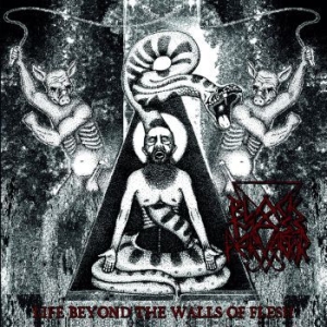 Black Mass Pervertor - Life Beyond The Walls Of Flesh in the group VINYL / Hårdrock at Bengans Skivbutik AB (3717802)