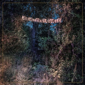 Eyelids - Accidental Falls in the group CD / Pop-Rock at Bengans Skivbutik AB (3723827)