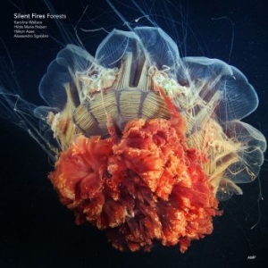 Silent Fires - Forests in the group CD / Jazz at Bengans Skivbutik AB (3727042)