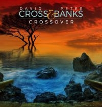 Cross David And Peter Banks - Crossover in the group CD / Pop at Bengans Skivbutik AB (3727106)