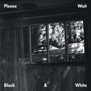 Please Wait - Black & White in the group VINYL / RNB, Disco & Soul at Bengans Skivbutik AB (3728545)